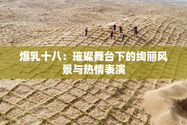 爆乳十八：璀璨舞台下的绚丽风景与热情表演