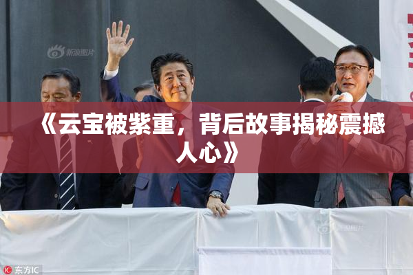 《云宝被紫重，背后故事揭秘震撼人心》