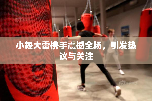 小舞大雷携手震撼全场，引发热议与关注