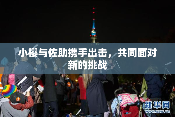 小樱与佐助携手出击，共同面对新的挑战