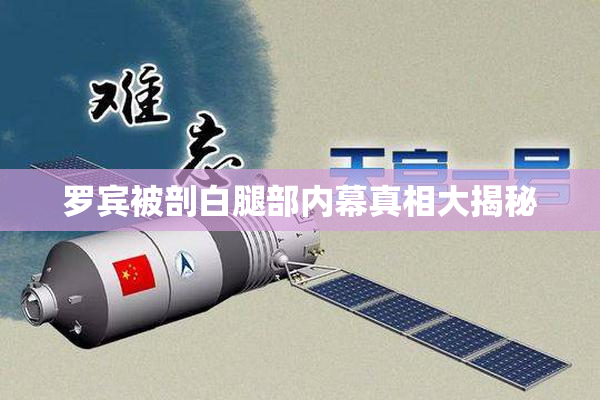 罗宾被剖白腿部内幕真相大揭秘