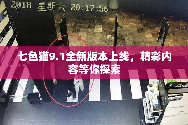 七色猫9.1全新版本上线，精彩内容等你探索
