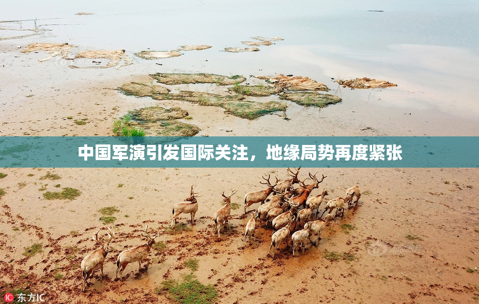 中国军演引发国际关注，地缘局势再度紧张