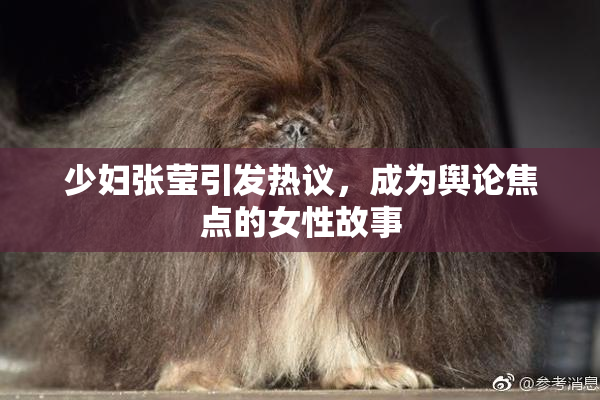 少妇张莹引发热议，成为舆论焦点的女性故事