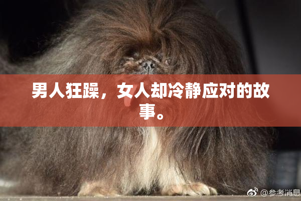男人狂躁，女人却冷静应对的故事。