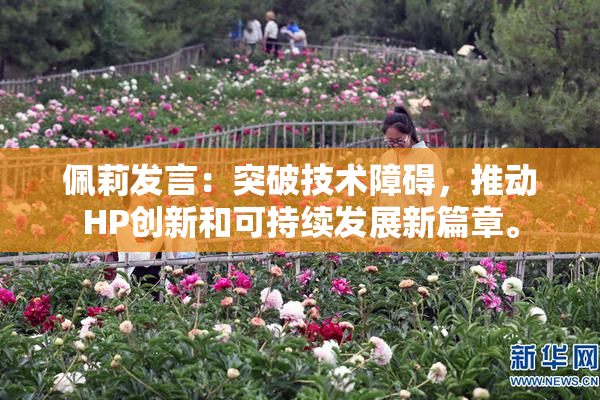 佩莉发言：突破技术障碍，推动HP创新和可持续发展新篇章。