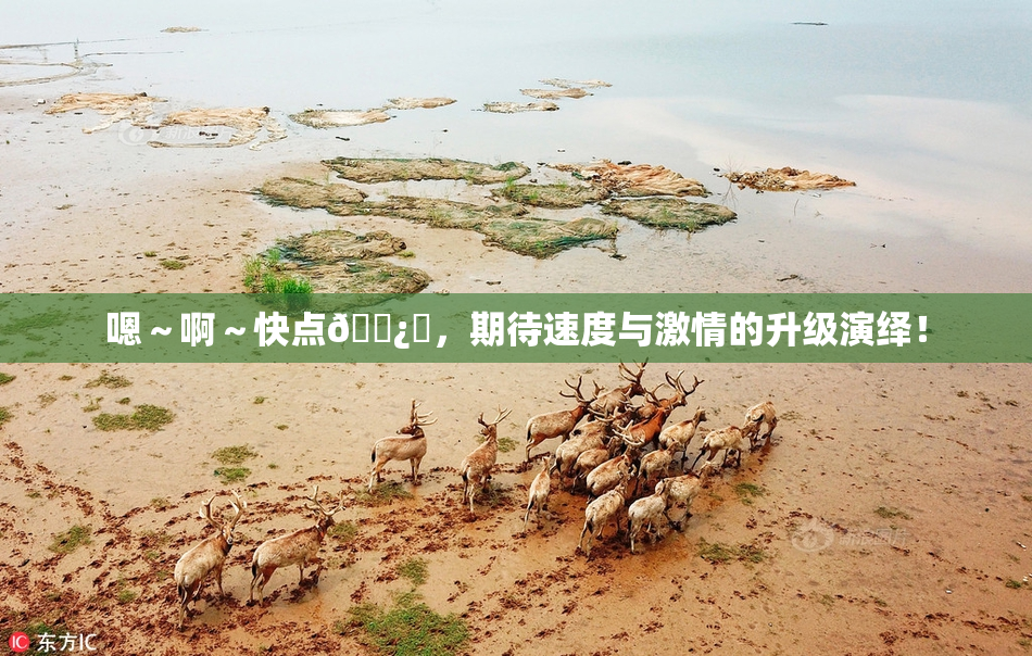 嗯～啊～快点🌿‌，期待速度与激情的升级演绎！
