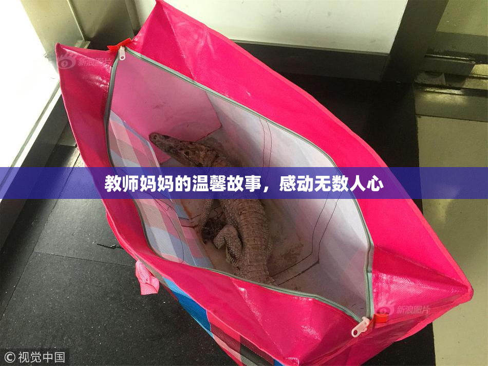教师妈妈的温馨故事，感动无数人心