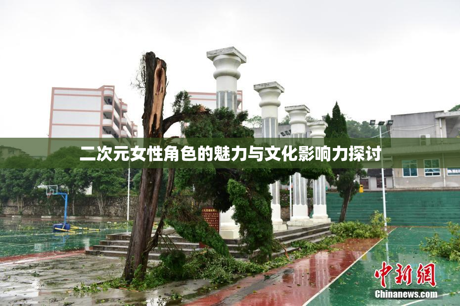 二次元女性角色的魅力与文化影响力探讨