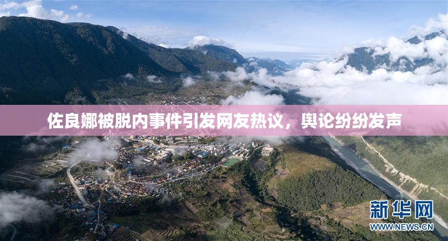 佐良娜被脱内事件引发网友热议，舆论纷纷发声