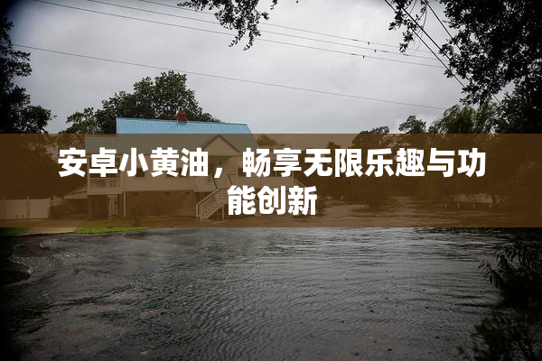 安卓小黄油，畅享无限乐趣与功能创新