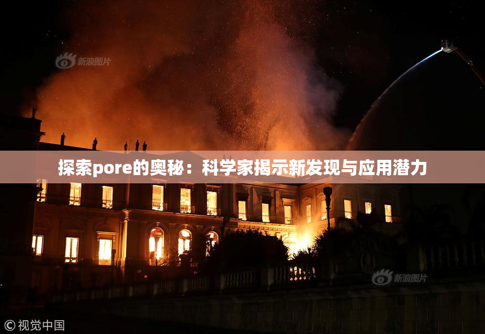 探索pore的奥秘：科学家揭示新发现与应用潜力