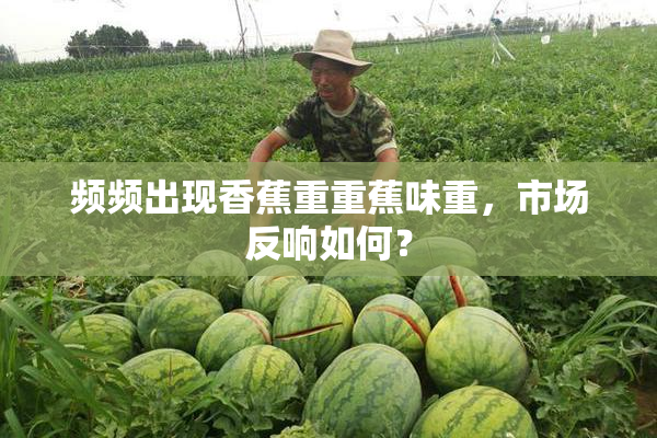 频频出现香蕉重重蕉味重，市场反响如何？