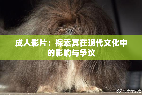 成人影片：探索其在现代文化中的影响与争议