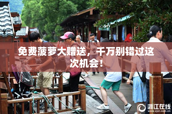 免费菠萝大赠送，千万别错过这次机会！