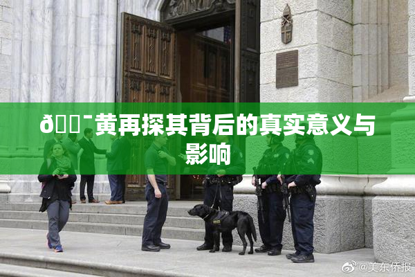 🔯黄再探其背后的真实意义与影响