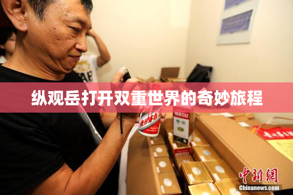 纵观岳打开双重世界的奇妙旅程