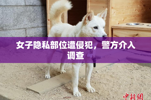 女子隐私部位遭侵犯，警方介入调查