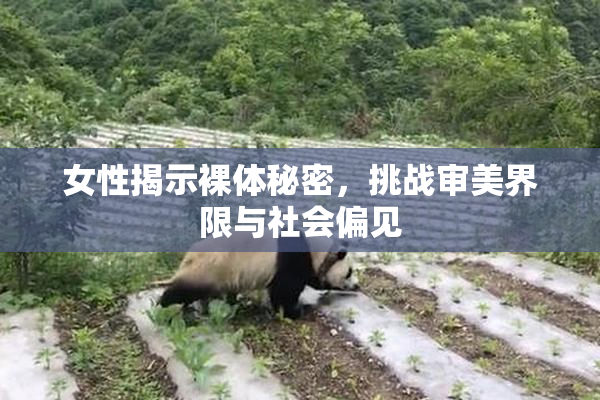 女性揭示裸体秘密，挑战审美界限与社会偏见