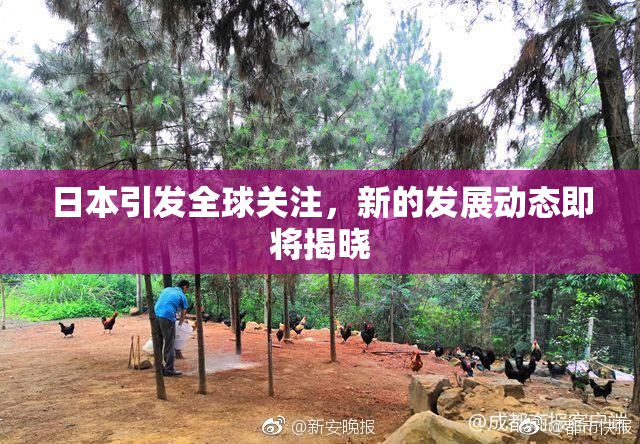 日本引发全球关注，新的发展动态即将揭晓