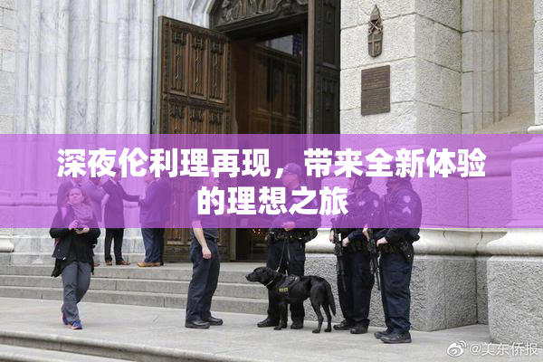 深夜伦利理再现，带来全新体验的理想之旅