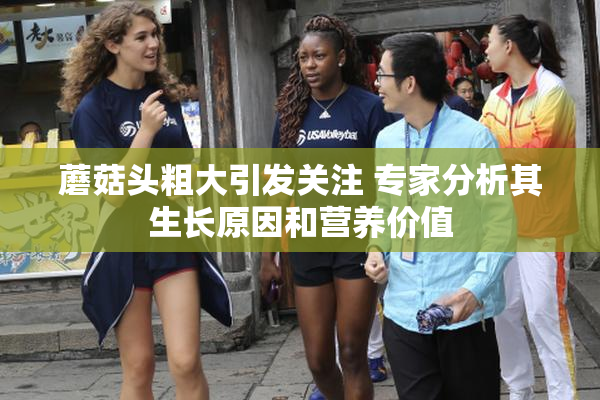 蘑菇头粗大引发关注 专家分析其生长原因和营养价值