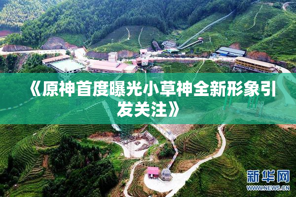 《原神首度曝光小草神全新形象引发关注》