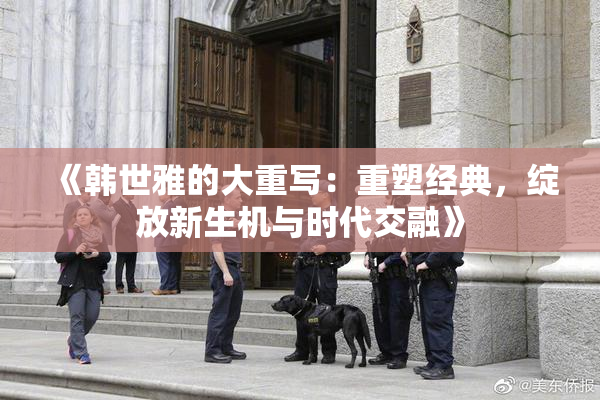 《韩世雅的大重写：重塑经典，绽放新生机与时代交融》