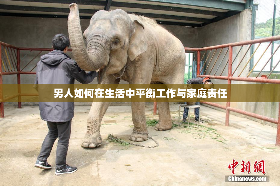 男人如何在生活中平衡工作与家庭责任