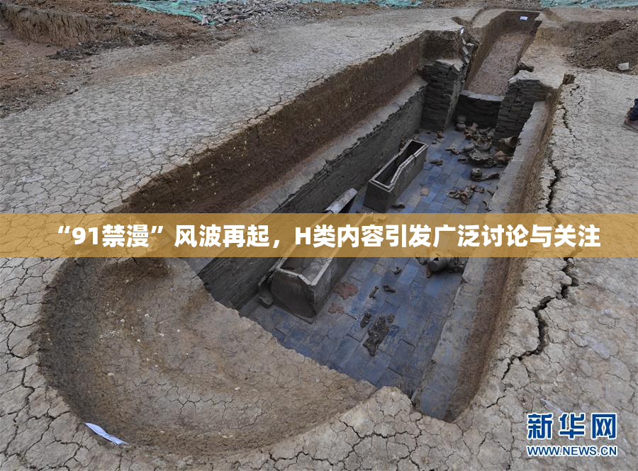 “91禁漫”风波再起，H类内容引发广泛讨论与关注