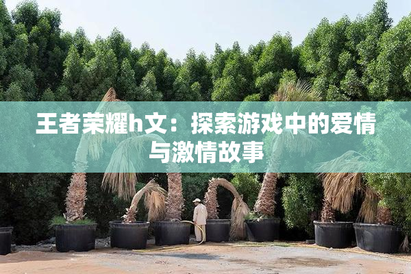 王者荣耀h文：探索游戏中的爱情与激情故事