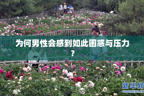 为何男性会感到如此困惑与压力？