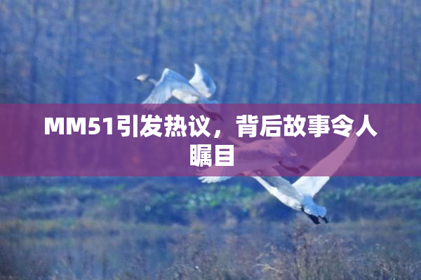 MM51引发热议，背后故事令人瞩目