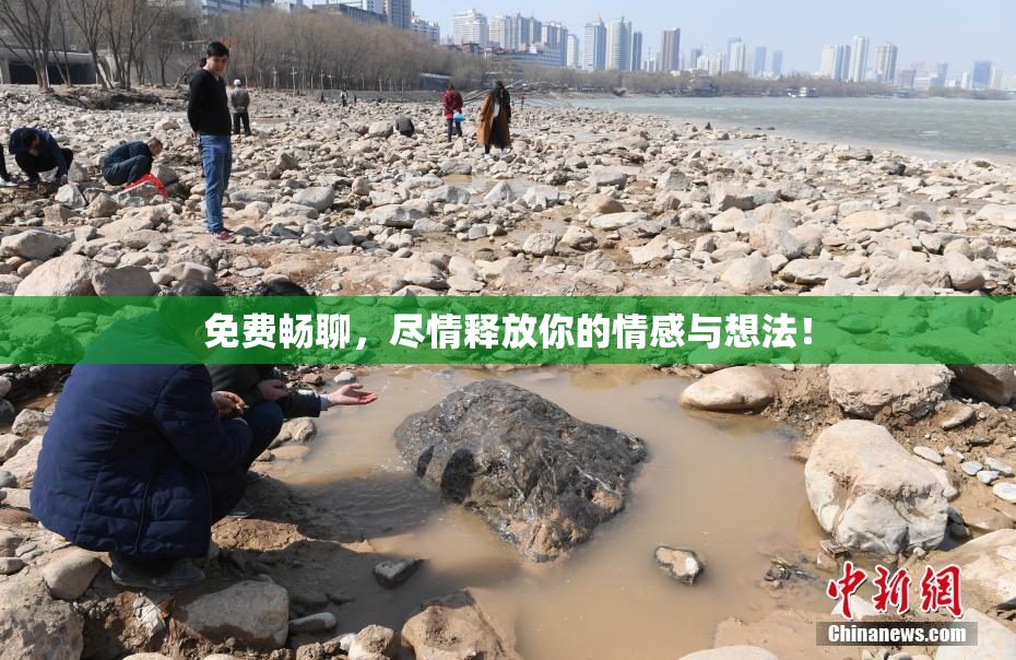免费畅聊，尽情释放你的情感与想法！