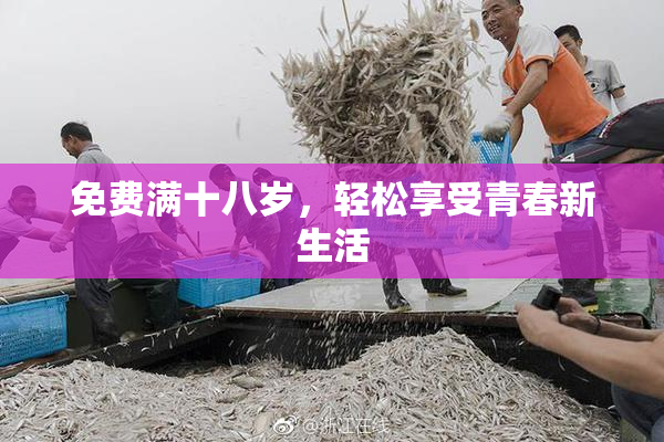 免费满十八岁，轻松享受青春新生活