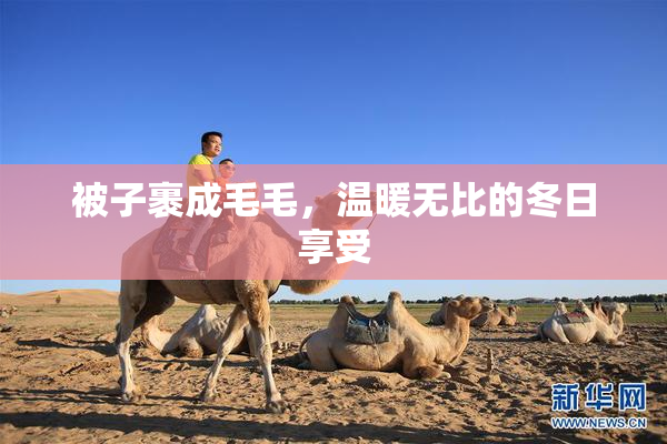被子裹成毛毛，温暖无比的冬日享受