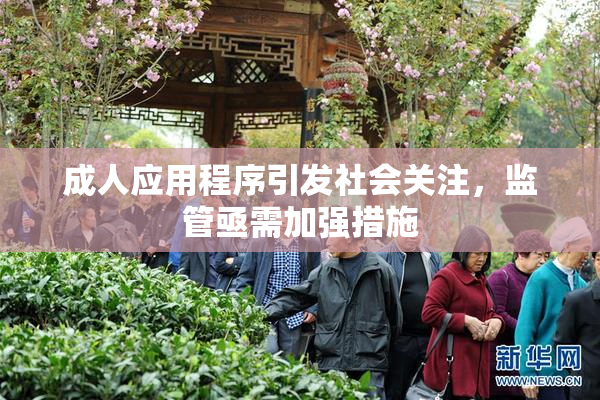 成人应用程序引发社会关注，监管亟需加强措施