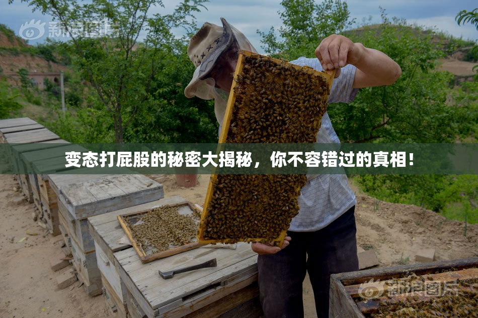 变态打屁股的秘密大揭秘，你不容错过的真相！