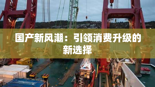 国产新风潮：引领消费升级的新选择