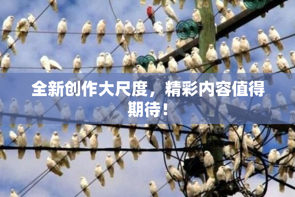 全新创作大尺度，精彩内容值得期待！