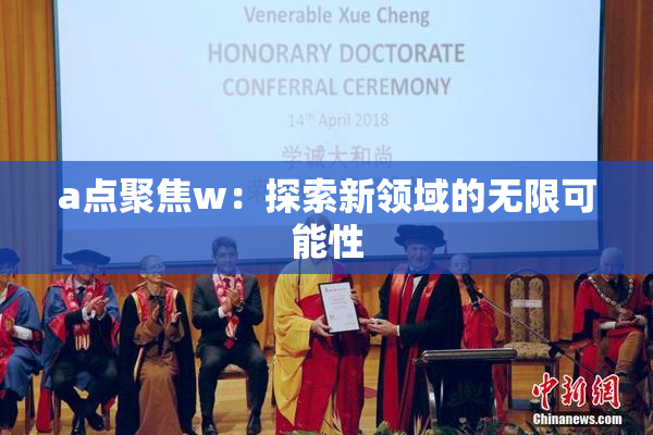 a点聚焦w：探索新领域的无限可能性