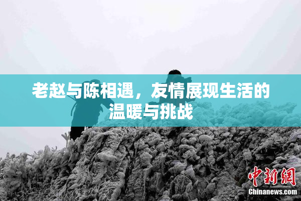 老赵与陈相遇，友情展现生活的温暖与挑战
