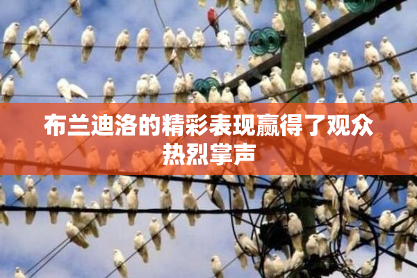 布兰迪洛的精彩表现赢得了观众热烈掌声