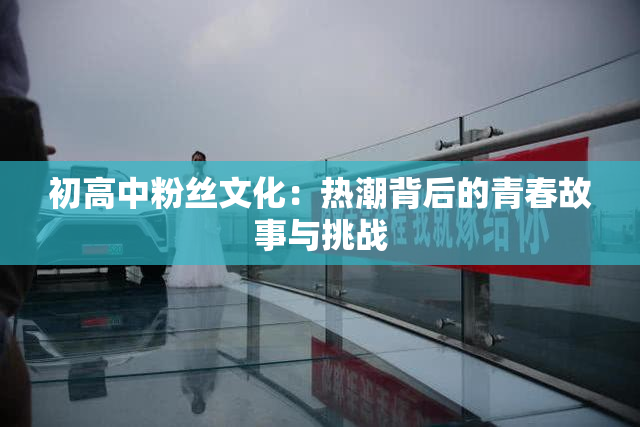 初高中粉丝文化：热潮背后的青春故事与挑战