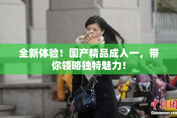 全新体验！国产精品成人一，带你领略独特魅力！