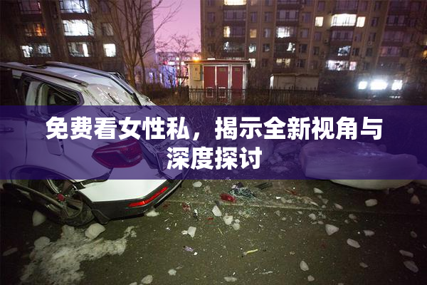 免费看女性私，揭示全新视角与深度探讨