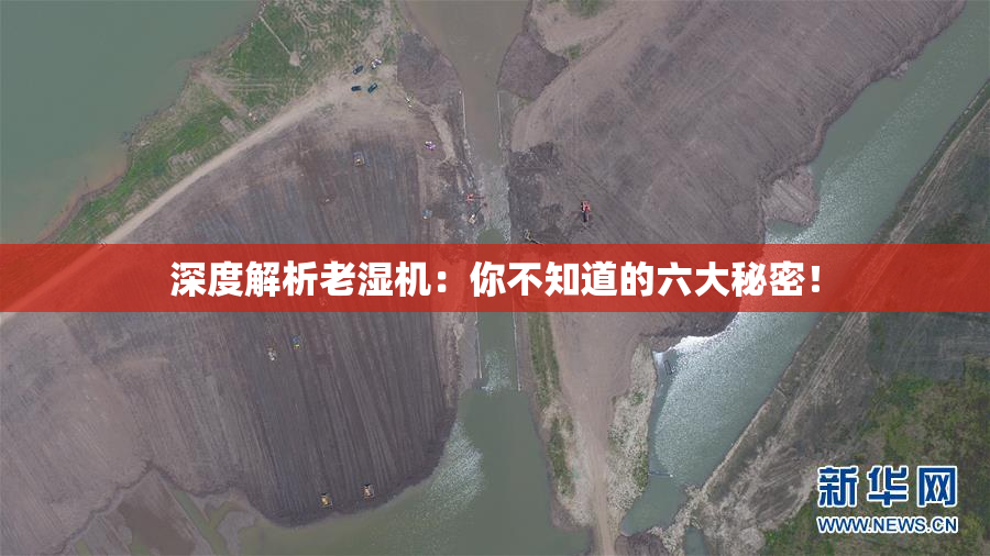 深度解析老湿机：你不知道的六大秘密！