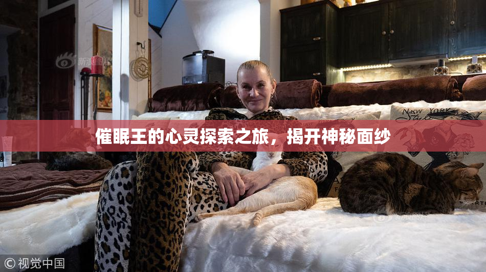 催眠王的心灵探索之旅，揭开神秘面纱