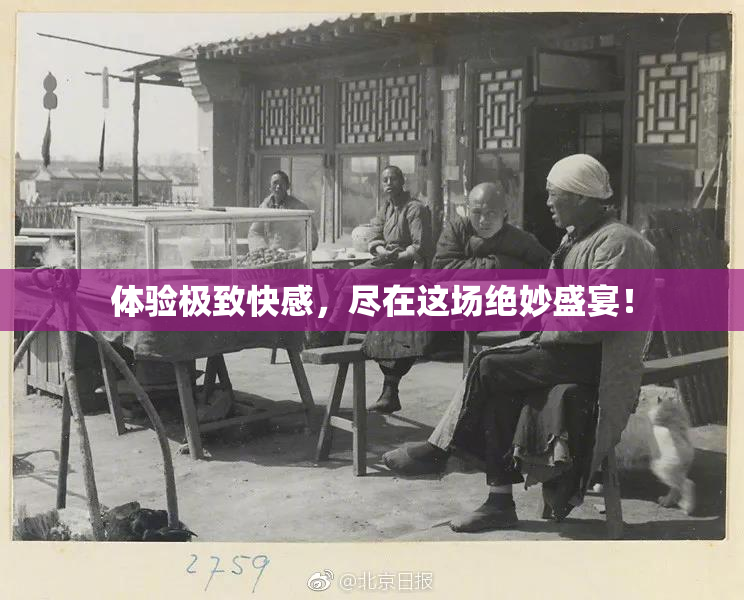 体验极致快感，尽在这场绝妙盛宴！