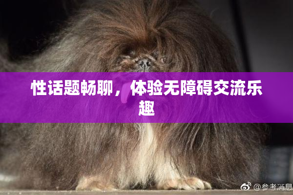 性话题畅聊，体验无障碍交流乐趣